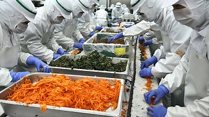 Sold out every day in the USA! Korean frozen kimbap that is always sold out- Korean food | Food Processing