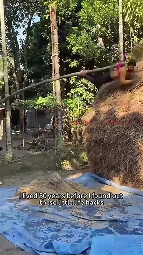 Essential Life Hacks for Everyday Convenience