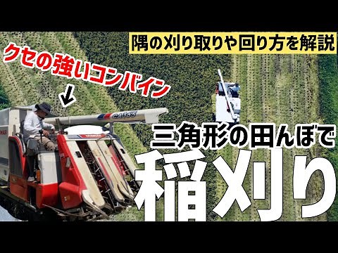 三角形の田んぼで稲刈り【前編】！外周のまわり方や隅の刈り取り方法を説明します！操作むずっ！！クセの強い４条刈りコンバインを借りました！（RICE IS COMEDY®︎）