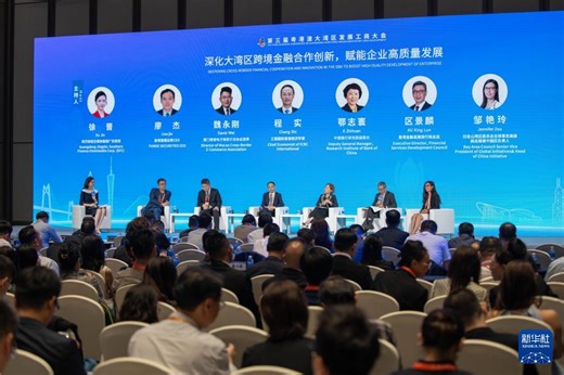 第三届粤港澳大湾区发展工商大会开幕 - 精彩图片 - 东南网