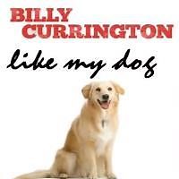Like My Dog - Billy Currington