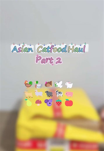 Exciting Asian Cat Food Finds - Part 2