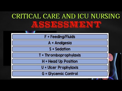 Critical Care and ICU Nursing Assessment part 4(FAST-HUG)