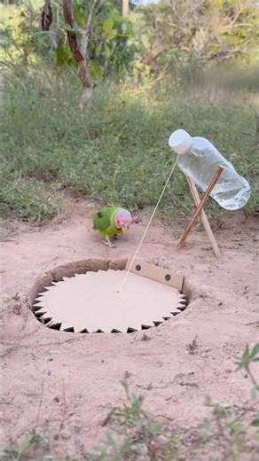 Creative And Beautiful Trap #shorts