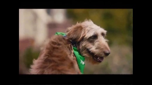 Rover.com TV Spot, 'Meet the Dog People'