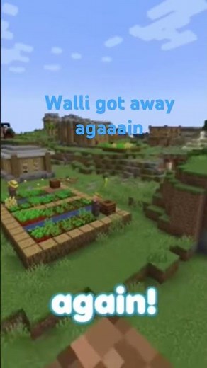 Walli got away again