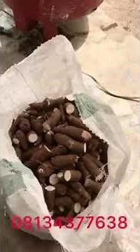 Modernized vertical cassava peeling machine