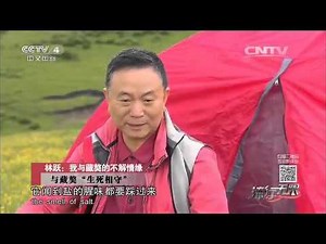 20151025 流行无限 林跃：我与藏獒的不解情缘