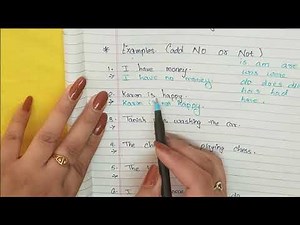 How To Make Negative Sentence/ using not or no/ chap 3 In Grammar