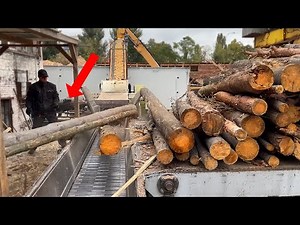 Uncontrolled Log Collapse – He Barely Escaped (Wood Chips Ahead).