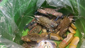 ကြောက်တယ် ကြောက်တယ်နဲ့ ပြီးတော့လည်းမမရီတို့ ပါးစပ်ချည်းပဲ 🤨🤪