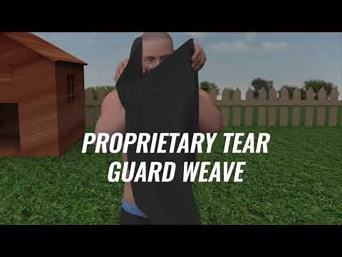 What is Armor Shield?