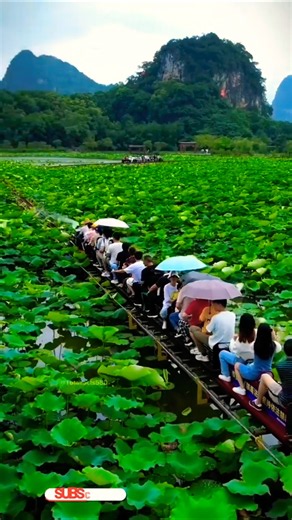 Farmers Turned Fields Into a Tourist Ride! ll TOT FACTS