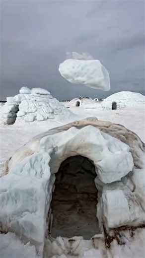 traditional Inuit homes—igloos! These incredible snow structures, built by the Inuit people….