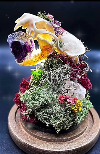 Real skull lamp in removable cloche dome with flower tatts. Covered in preserved earthy awesomeness with large Amethyst crystal. $149🇨🇦 FREE SHIPPING IN CANADA!#creatorsearchinsights #skull #weird #witch #taxidermy