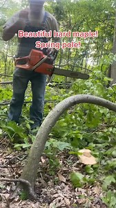 How to kut a spring pole! #TKP | Timberkutterpatriot