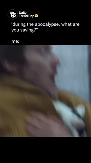 Daily Trend Pop | Trending on Instagram: "This scene is from ‘A Quiet Place: Day One’ (2024), a sci-fi horror thriller starring Lupita Nyong’o and Joseph Quinn that depicts the terrifying chaos of the very first day aliens with ultrasonic hearing invaded New York City. Surprisingly, Lupita Nyong’o had a debilitating fear of cats prior to filming and underwent exposure therapy to work comfortably alongside the two tuxedo cats, Schnitzel and Nico, who played her character’s loyal companion. A Quie