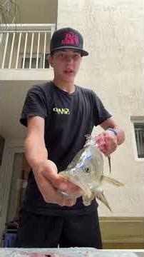 Snook Catch Clean Cook! secret recipe!