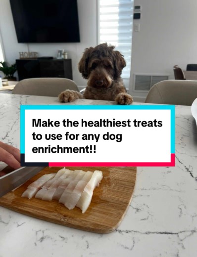 Make Healthy Dog Treats That Boost Fun and Enrichment