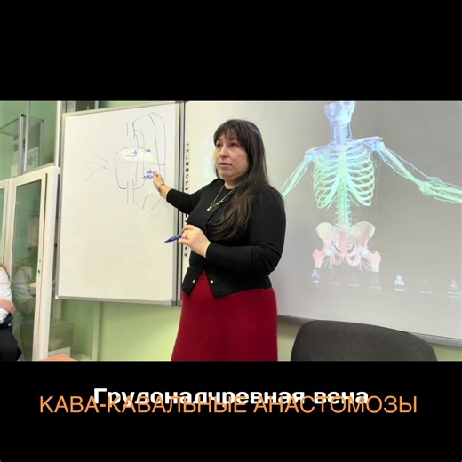 morfologiya_med (@morfologiya_med)’s video of Muscular System Anatomy