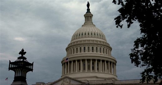 Montana U.S. Senate race: Daines up for third term, three Democrats running