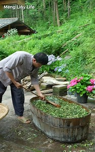 Ancient method of motherwort paste, the beauty recipe of the ancient female emperor Wu Zetian. Try boiling a little bit of free motherwort to see how it goes. | Meng Liny Life