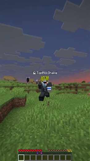 Minecraft randomizer speedrun vs my friends