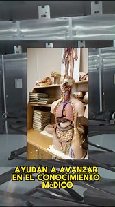 "¿Sabías que las autopsias son más que un examen post-mortem? Son piezas clave para entender las causas de muerte, mejorar la salud pública y avanzar en la medicina. Descubre por qué son esenciales en nuestra última publicación. 😮😳💗✨ #TodosSomosAifcf #YoSoyAIFCF #TodosSomosAIFCF #autopsia | Academia Internacional de Formación en Ciencias Forenses