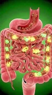 What Happens When You Eat Chocolate? 3D Medical Animation Inside Your Body #healthylifestyle