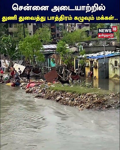 சென்னை அடையாற்றில் துணி துவைத்து பாத்திரம் கழுவும் மக்கள்.. | Chennai Adayaru Slum | N18V