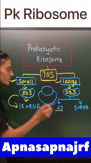 Prokaryotic 70S Ribosome || #apnasapnajrf