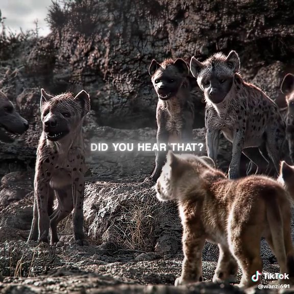 Simba's Journey to Kingship in The Lion King