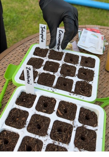 Built-In LED Lights for Perfect Plant Growth