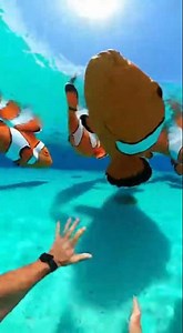 Waterslide into pool full of giant fish #funny #memes