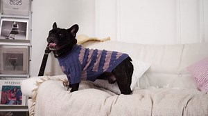 Cute Dog Sweater - Warm Knit Dog Sweater with Harness Hole, Stretchy Clothes with Long Sleeve, Soft Winter Pullover for Small Dogs Girl Boy, Chihuahua Teacup, Blue XS