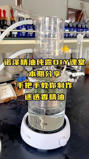 手把手教你制作迷迭香精油！精油提取实验，在家DIY精油提取 #厂家 #迷迭香精油 #自制迷迭香纯露 #精油提取设备