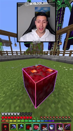 My """"MAFERSITA"""" asked me for this item to put in MY Minecraft Museum! 😃 (194/1414)