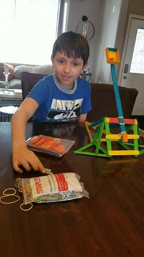 Catapult Science Project