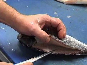 Filleting sea bream