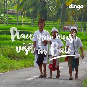 167K views · 1.9K reactions | This Amazing Place should be part of your Bali's bucket list!! Follow @dingo.bali on Instagram >> https://www.instagram.com/dingo.bali/ | BALI 1am | Facebook