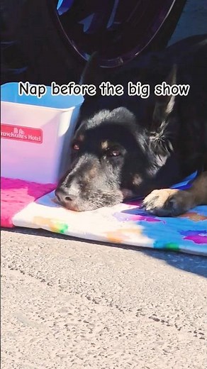 SEMA SHOW 2025 Las Vegas Day 1