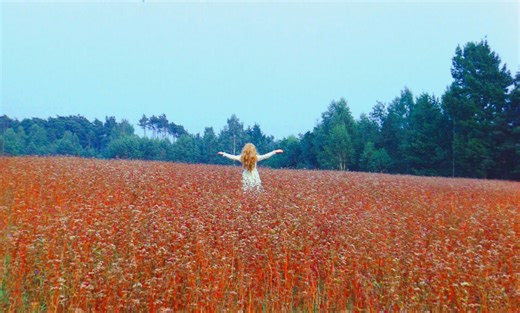 一部超级冷门的波兰电影，世界在血水中覆灭 ——《旅店》