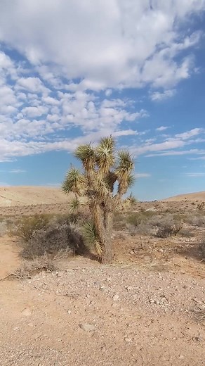 Elevate Your Cinematic Game with Tiffen Camera Filters! From controlling glares to giving a soft diffusion, Tiffen Camera Filters can do it all. #UBMS #Tiffen #IRFilter #Cinema #Filter #Infrared #FilterFactor #Colors | UBMS | Facebook