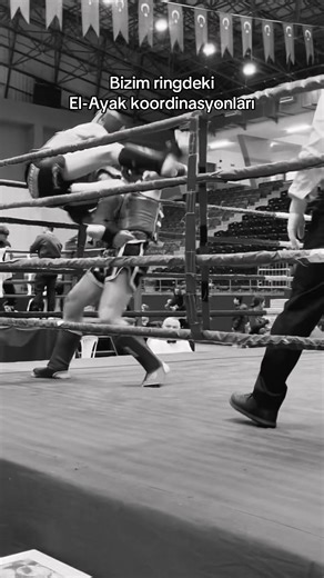 Çok becerikliyimdir