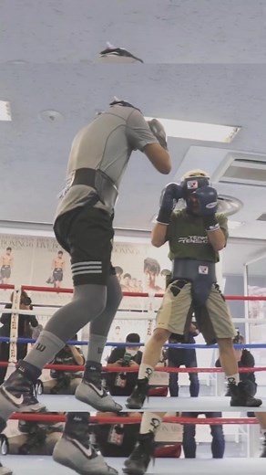 WJAPAN BOXING on Reels