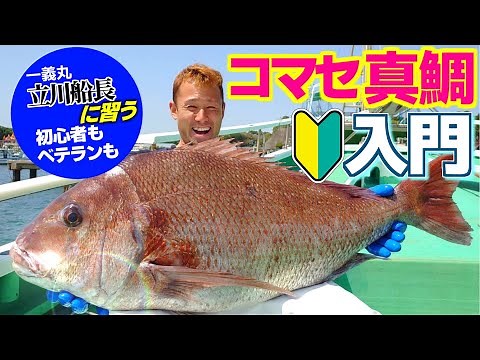 【コマセマダイ】乗っ込み期対応！初心者必見‼︎真鯛釣りの基本釣り講座！【一義丸 立川船長】