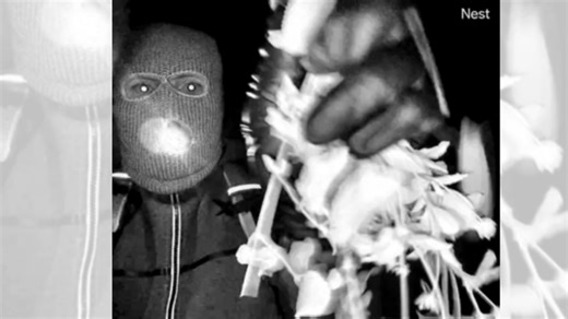 Surveillance photos of ‘armed individual’ at Nancy Guthrie’s house released