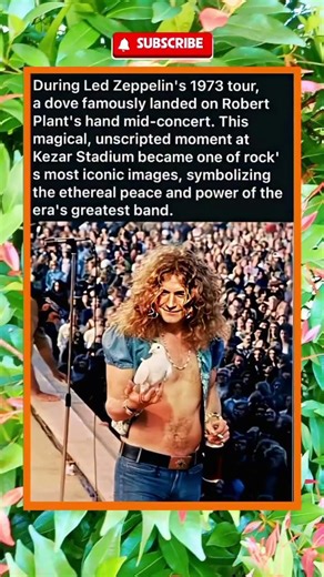 Led Zeppelin 1973: When Nature Meets Music. #shorts