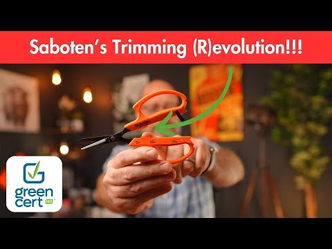 Saboten's Magnetic Trimming (R)evolution!