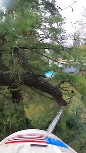 16K views · 119 reactions | @btotreez made quick work of this tree, climbing MRS on a Rope Runner Pro. Remember: Always be aware of electrical hazards. Proper training is key when working around conductors! #Sherrilltree | Sherrilltree | Facebook